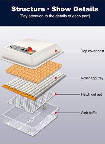 Egg Incubator - Egg Incubator with Automatic Egg Turning and Humidity Control,Large Poultry Hatcher for Chickens Birds Ducks (176 Eggs)