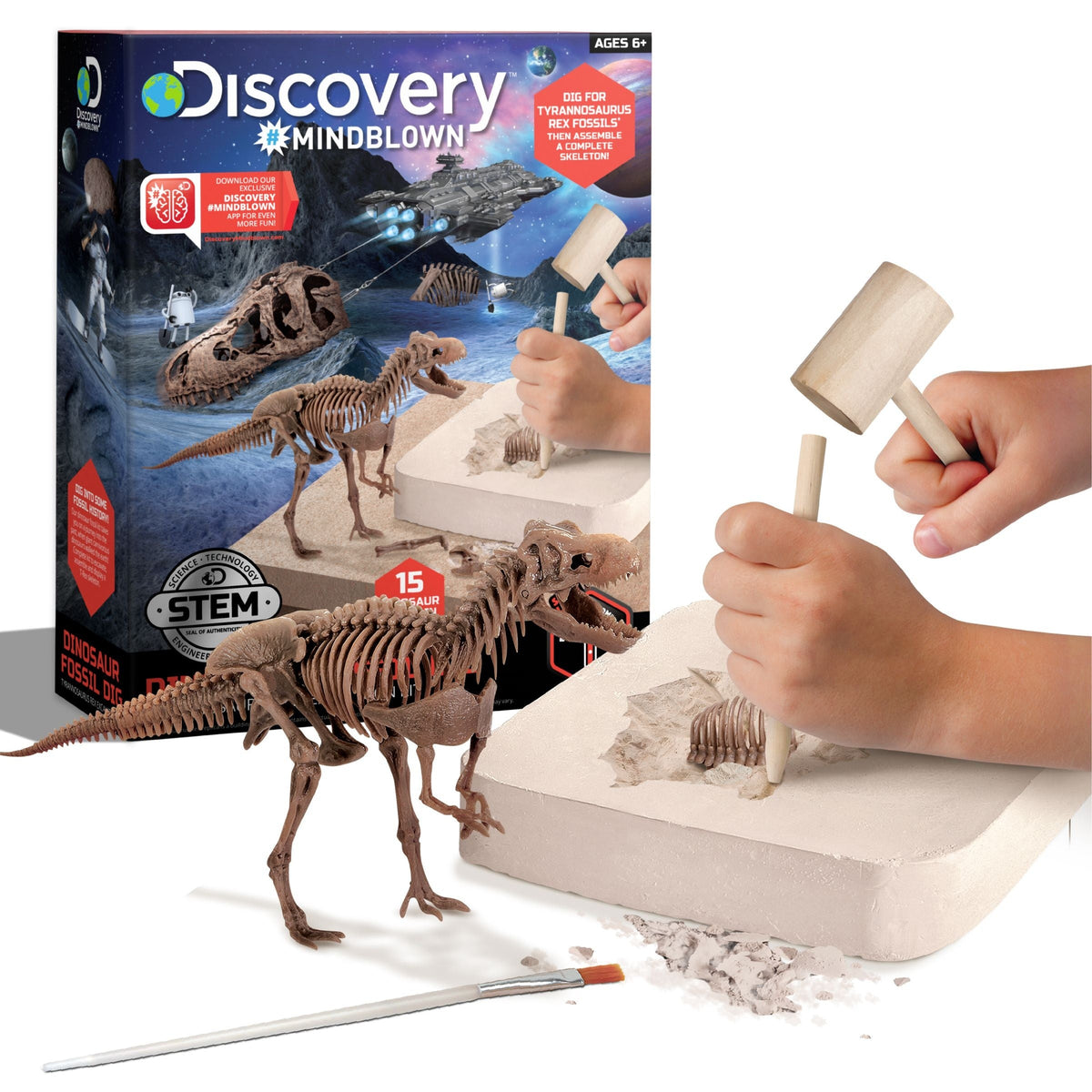 Dinosaur Skeleton T-Rex 3D Puzzle Excavation Kit/Educational Toy for Ages 6+