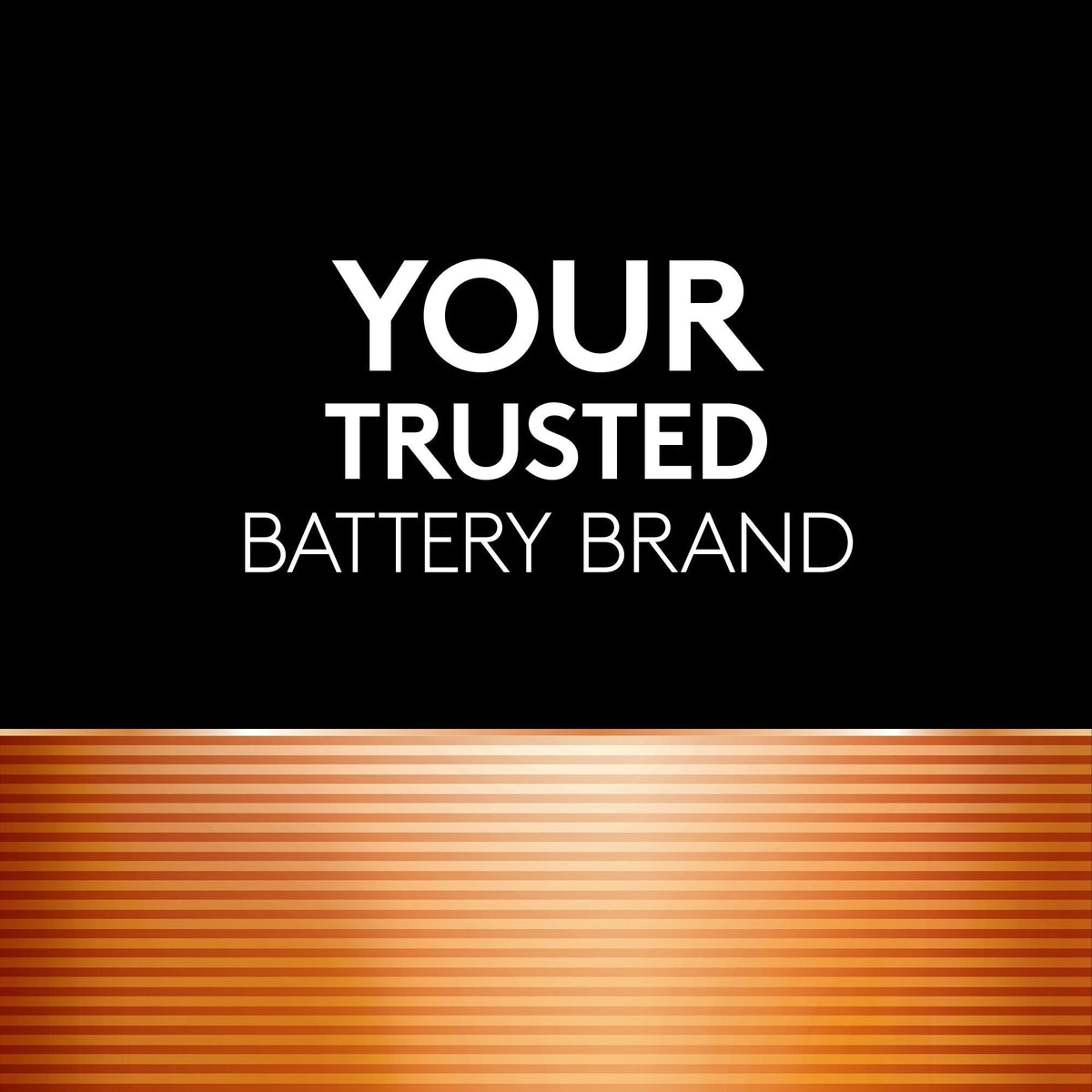 Coppertop AAA Batteries, Alkaline,16-pk