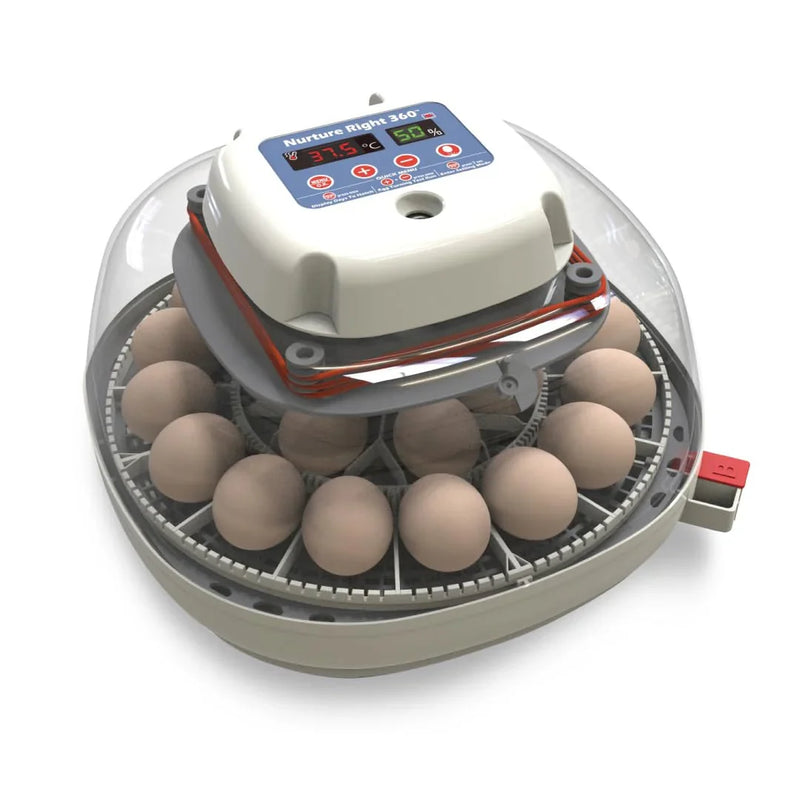 Nurture Right Egg Incubator for Hatching Chicks - Holds 22 Eggs K1133