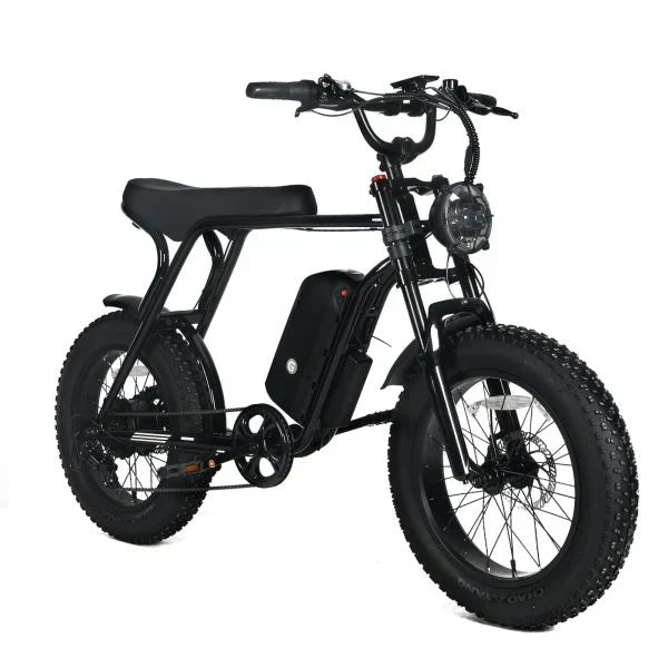 Electric Mountain Bike for Adults | 20 x 4.0 Fat Tires, 1000W Motor, 48V 20Ah Removable Battery, Max Speed 45MPH, Shi Mano 7-Speed for Off-Road Adventures K5751