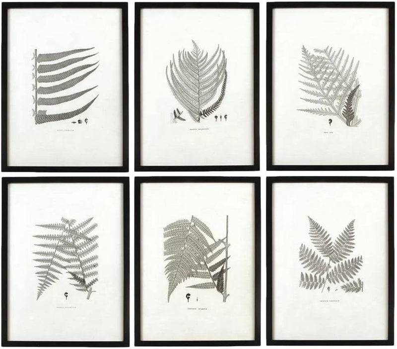 MY SWANKY HOME Modern Set of 6 Black White Fern Prints Botanical Framed Monochrome 29 in Q4771
