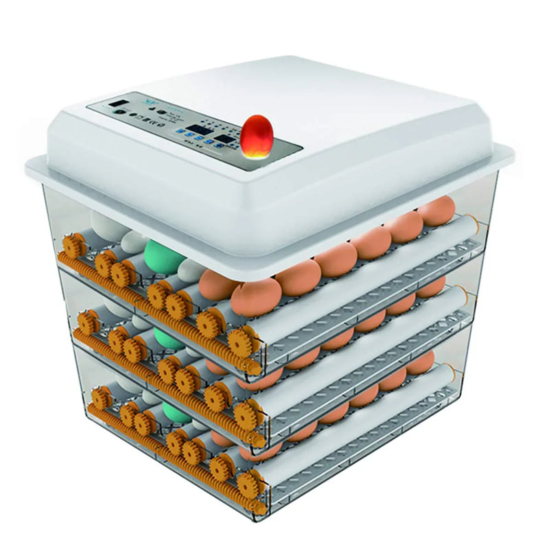 Egg Incubator - Egg Incubator with Automatic Egg Turning and Humidity Control,Large Poultry Hatcher for Chickens Birds Ducks (176 Eggs) O1867