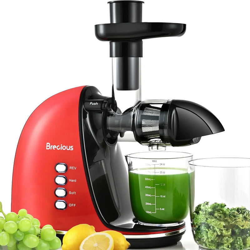 Slow Masticating Juicer,Brecious Cold Press Juicers with 2 Speed Modes & Quiet Motor,Juicers Machines Vegetable and Fruit with Reverse Function,Celery Juicer,BPA-Free,Easy to Clean (Black) Q2514