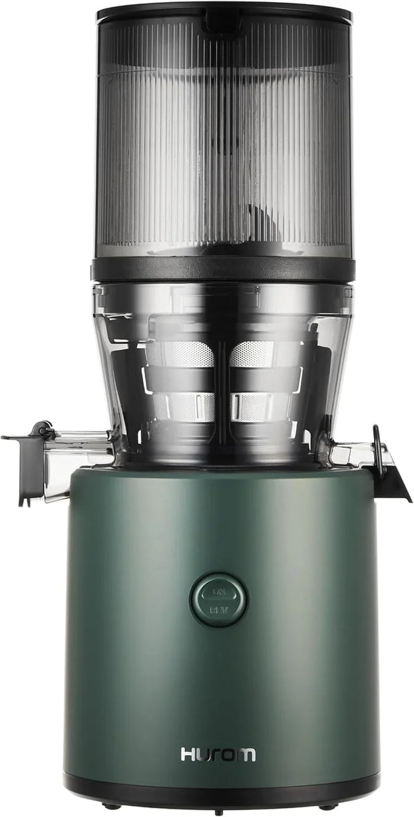 Cold press juicer, easy-to-clean chewing-style slow juicer, coarse filter screen, automatic feeding, no need for operator intervention, household size, quiet motor, easy assembly (kale/deep green) V6759