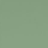 Classic Galvanized Steel Storage Shed, Sage Green, 10-ft x 8-ft