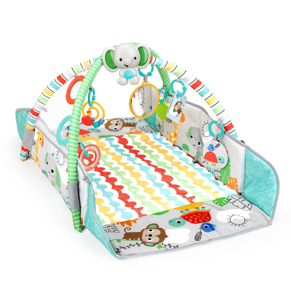 5-in-1 Your Way Ball Play Gym T8473