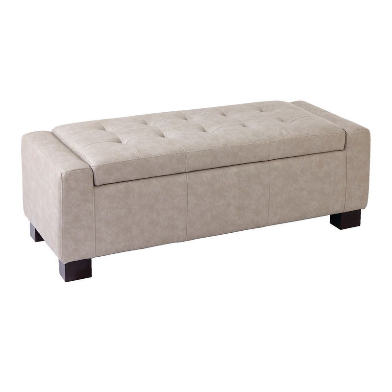 Louisa Upholstered Hinge-Top Storage Ottoman/Bench With Padded Seat, Light Grey H1156