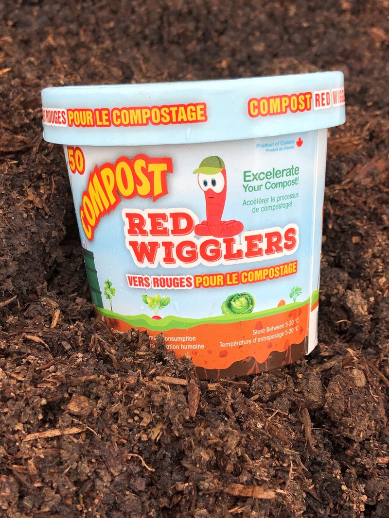 Compost Red Wiggler Live Composting Worms, 50 Count T6604