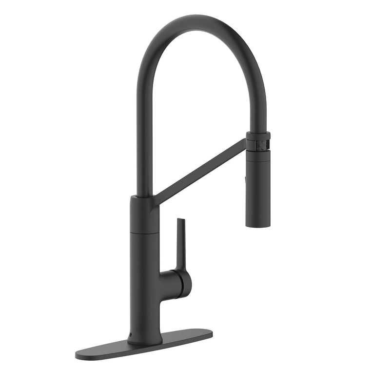 Tana 1-Handle Pull-Down Kitchen Faucet V8036
