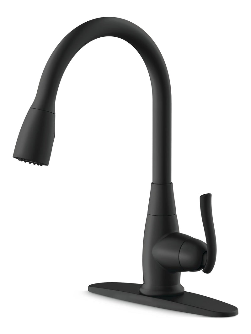 Terrazo 1-Handle Pull Down Kitchen Faucet, Matte Black J0587