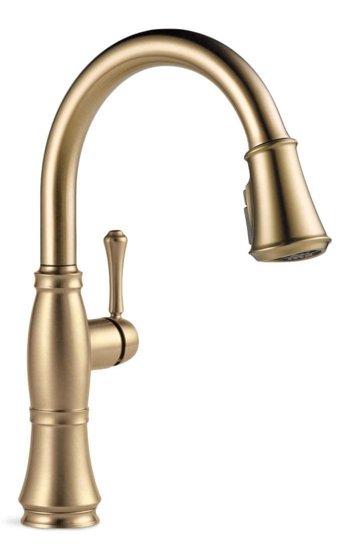 Cassidy 1-Handle ShieldSpray Pull-Down Kitchen Faucet, Champagne Bronze C8832