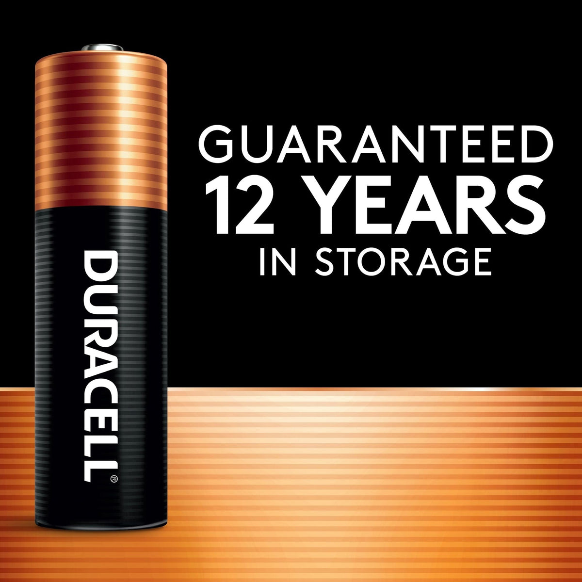 Coppertop AAA Batteries, Alkaline, 20-pk