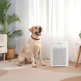 GermGuardian - Air Purifier with HEPA Filter and Odor Control, 2 Pack