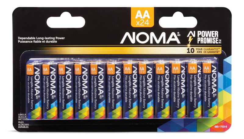AA Alkaline Batteries, Long Lasting, All Purpose, 24-pk P4574