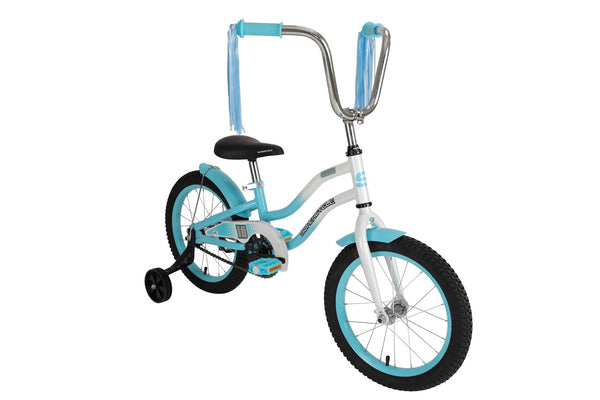 Misfit Kids' Bike with Training Wheels, 16-in, Blue C2501