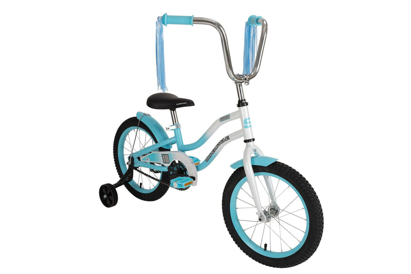 Misfit Kids' Bike with Training Wheels, 16-in, Blue C2501