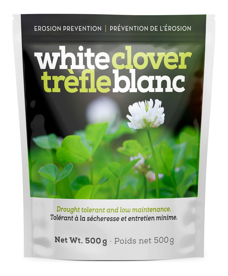 White Clover Erosion Control Grass Seed 500g Y0030